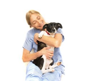 Medical aid for rescued animals